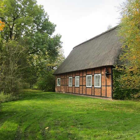 Gaestehaus Eulennest Grossenworden Εξωτερικό φωτογραφία